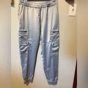 Banana Republic Light Gray Satin Joggers